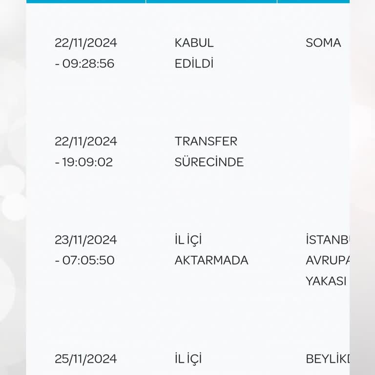 PTT Kargo'nun Teslimat Gecikmesi Ve Önemli Evrak Sorunu