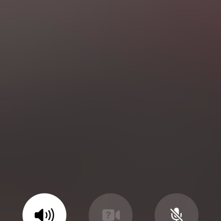 Feniksnet'in Sürekli Kesilen İnternet Sorunu