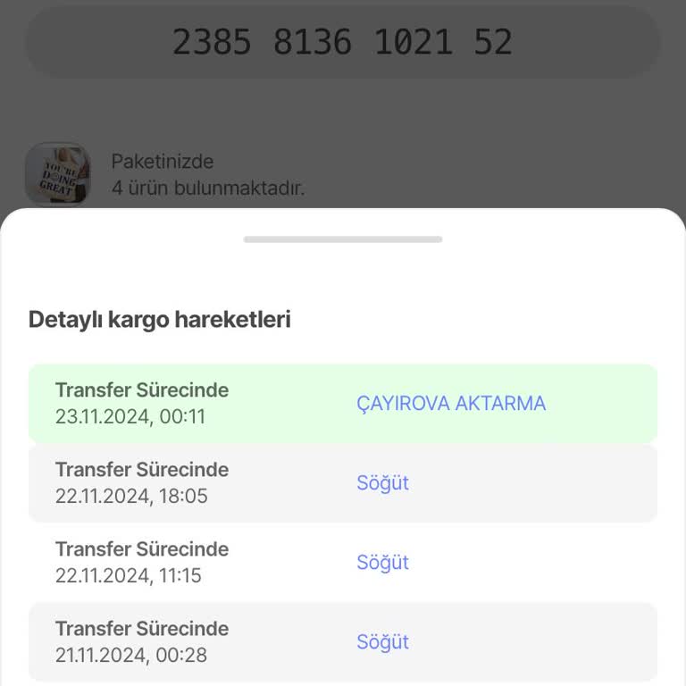 Kayıp Kargo: Sürat Kargo'nun Teslimat Sorunu