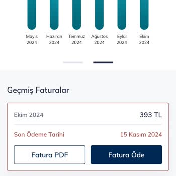 Papara Ödenmiş İnternet Borcu Neden Hâlâ Aktif?