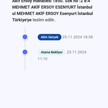 Bolt Kargo İle Teslimat Sorunu Yaşıyorum