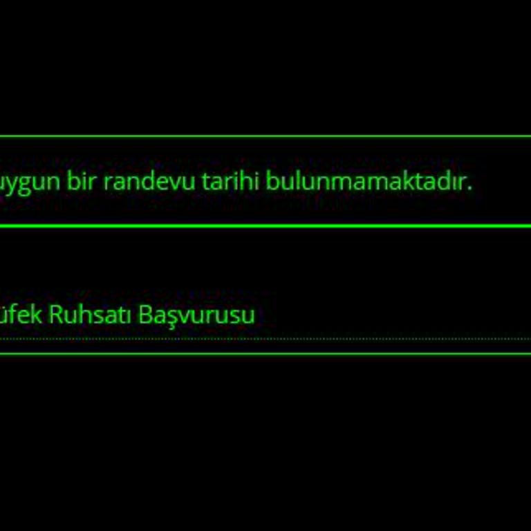 E-Devlet Üzerinden Yivsiz Tüfek Ruhsatı Başvuru Sorunu: Randevu Tarihi Bulunamıyor