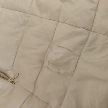 Alo 153 Hayvan Ambulansı Sokak Köpeği Saldırısı Ve Yetersiz Destek