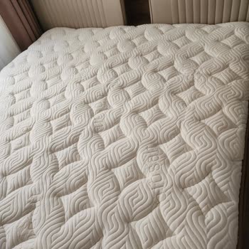 Bambi Yatak Çökmesi: Bel Ağrısı Ve İlgisizlik