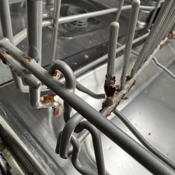 Paslanan Sepetlerle Sağlık Tehlikesi