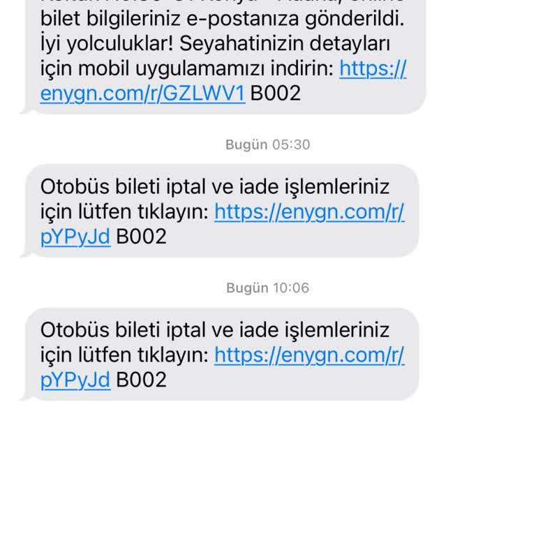 Gece Yarısı Otobüs Fiyaskosu