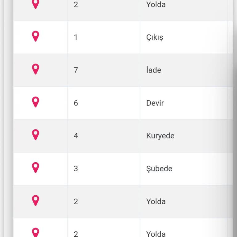 Kargo Teslimatında Yaşanan Büyük Sorun Ve Zaman Kaybı