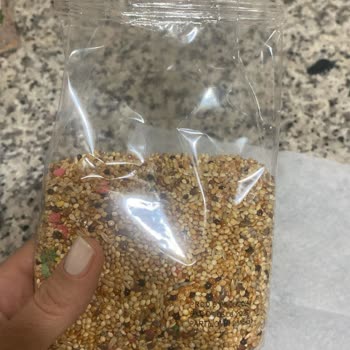 Erdinç Baharat Kuş Yeminde Böceklenme Ve Sağlık Sorunları