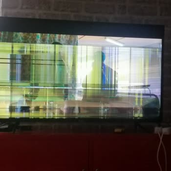 Vestel TV'de Beklenmedik Panel Sorunu Ve Yüksek Maliyet