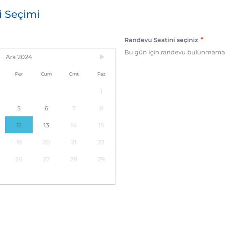 Vize Randevu Sistemindeki Sorunlar Bıktırıyor