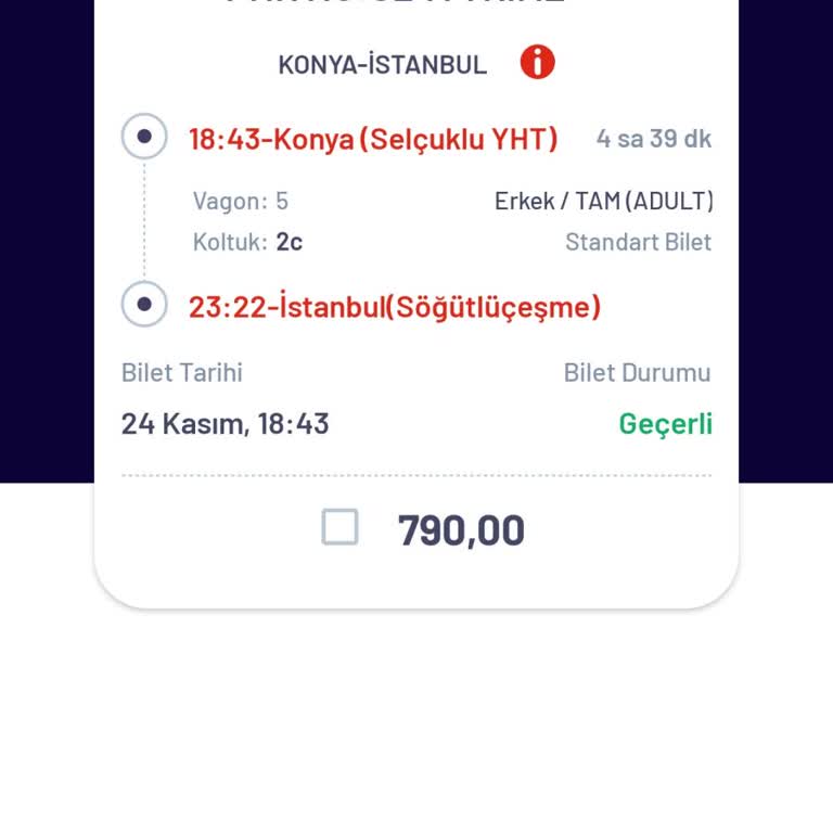 Kar Engeline Takılan Tren Yolculuğunda Mağduriyet