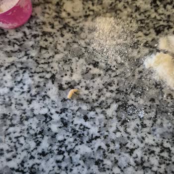 Aptamil 3 Numara Mamada Kurt Şoku Ve Hayal Kırıklığı