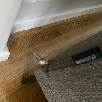 Ayıplı Koltuk Sorunu Çözülemiyor: Sinir Harbi Ve Çaresizlik