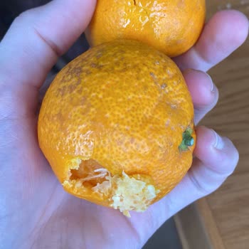 Migros Sanal Market'te Eksik Ve Kalitesiz Ürün Sorunu