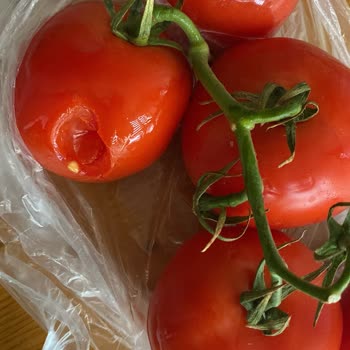 Migros Sanal Market'te Eksik Ve Kalitesiz Ürün Sorunu