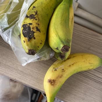 Migros Sanal Market'te Eksik Ve Kalitesiz Ürün Sorunu