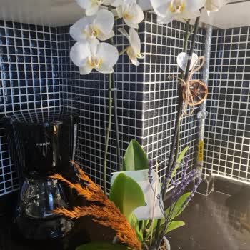 Yanıltıcı Ürün Açıklaması Ve İlgisiz Müşteri Hizmetleri