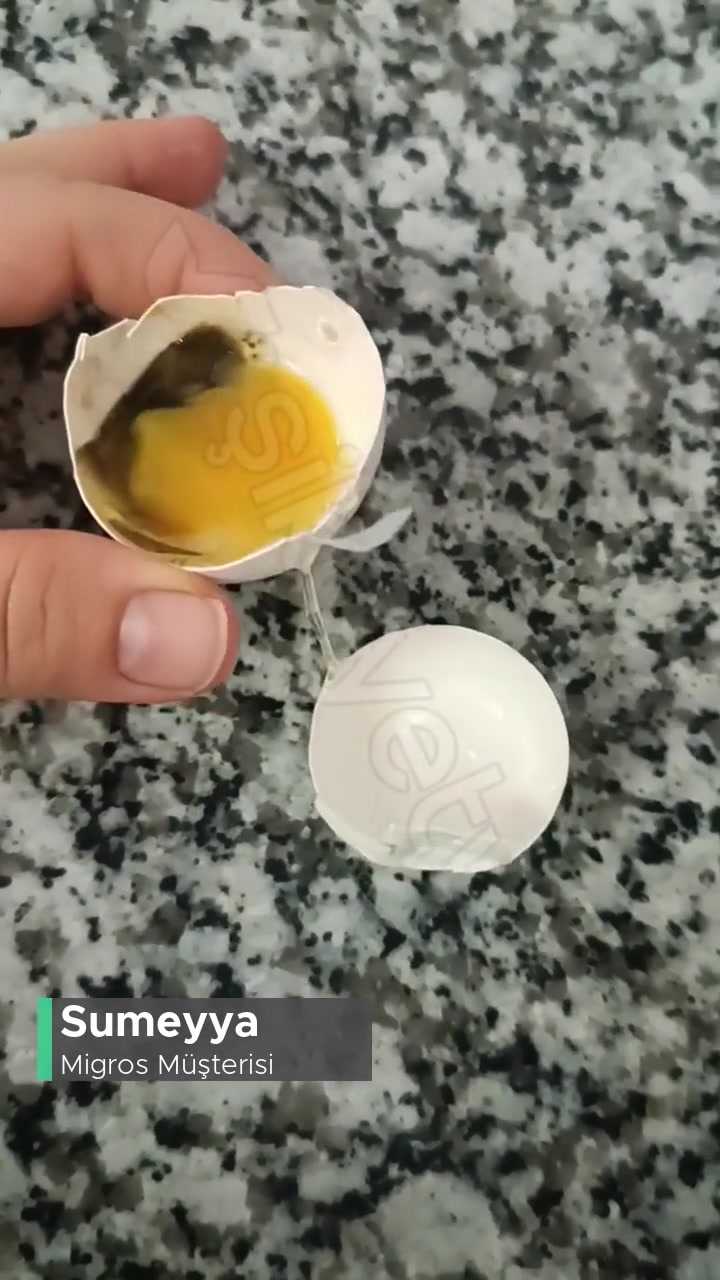 Migros 30'lu Yumurta Kolisinde Çürük Yumurta videonun kapak resmi