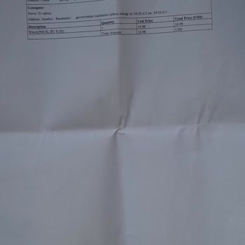 Gümrükte Mahsur Kalan Kargo Ve İade Sorunu