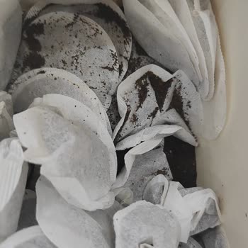 Çay Poşetleri Sorunu ve Müşteri Hizmetleri Deneyimi