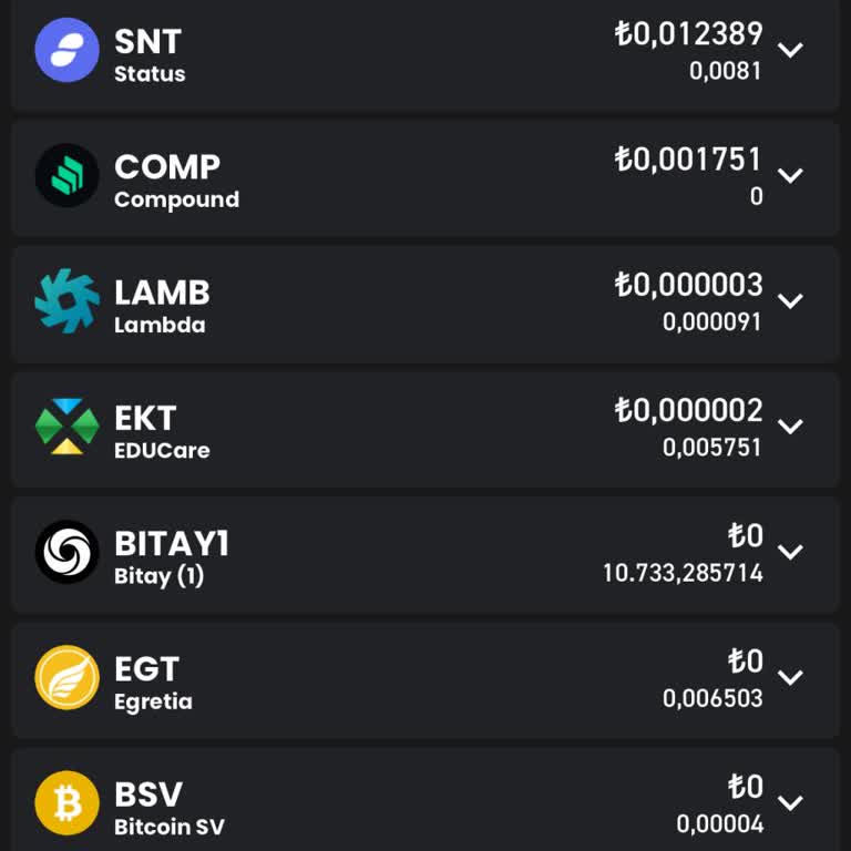 Bitay Coin Kilidi Açılmıyor, Paramız Pul Oldu