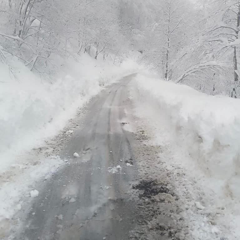 Biletix'in İptal Politikası Mağduriyeti