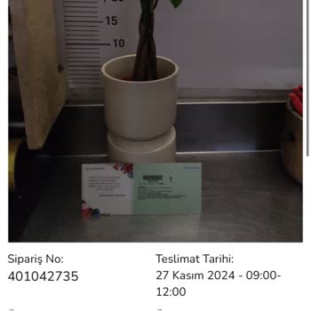 Çiçek Sepeti'nde Hayal Kırıklığı: Yanıltıcı Hizmet Ve İletişim Sorunları