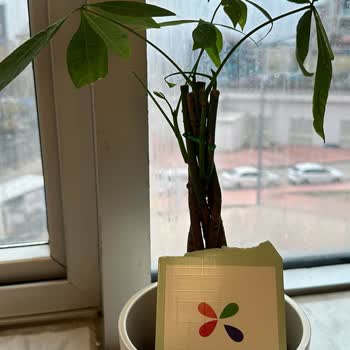 Çiçek Sepeti'nde Hayal Kırıklığı: Yanıltıcı Hizmet Ve İletişim Sorunları