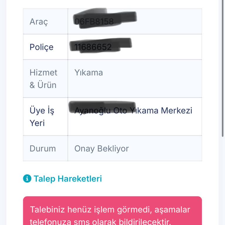 Araç Yıkama Hizmeti İçin Uzun Bekleyiş