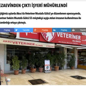 Sahte Mama Ve İade Sorunu