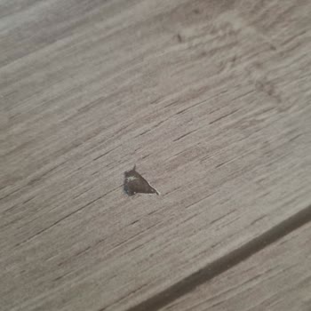 Çamsan Parke Kalitesizliği: Kullanım Öncesi Hayal Kırıklığı