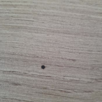 Çamsan Parke Kalitesizliği: Kullanım Öncesi Hayal Kırıklığı