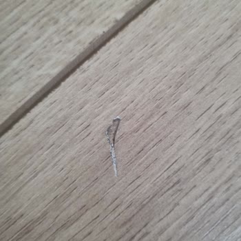 Çamsan Parke Kalitesizliği: Kullanım Öncesi Hayal Kırıklığı