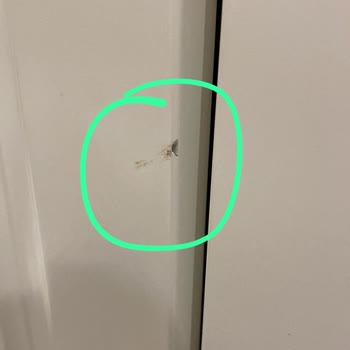 Vestel Bulaşık Makinesi: Sürekli Arızalar Ve Yetersiz Servis