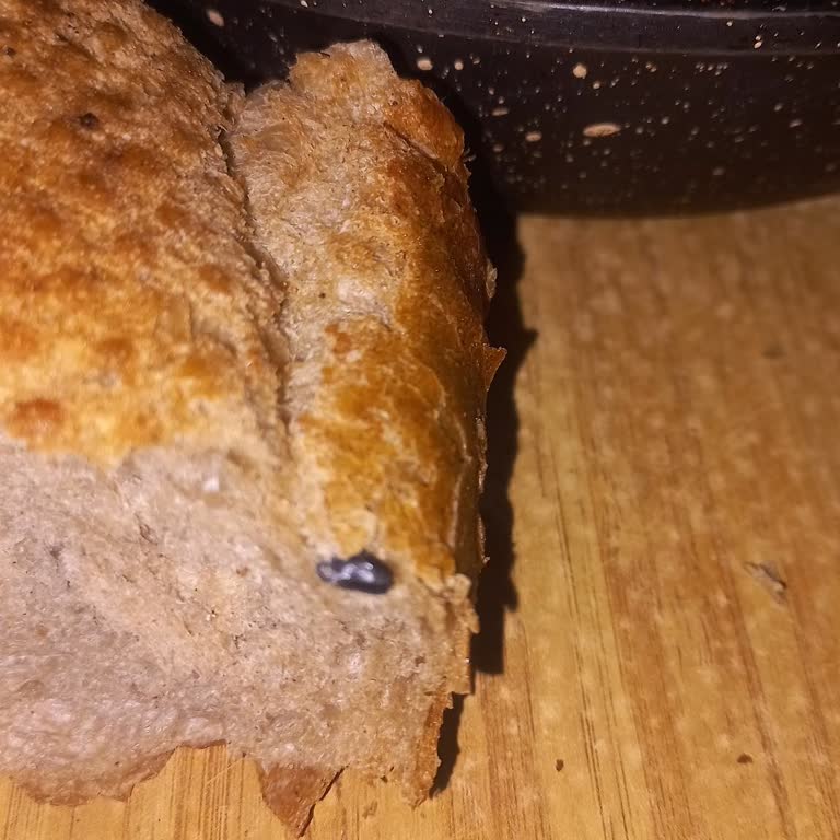 Hijyen Sorunu: Ekmekte Böcek Kalıntısı