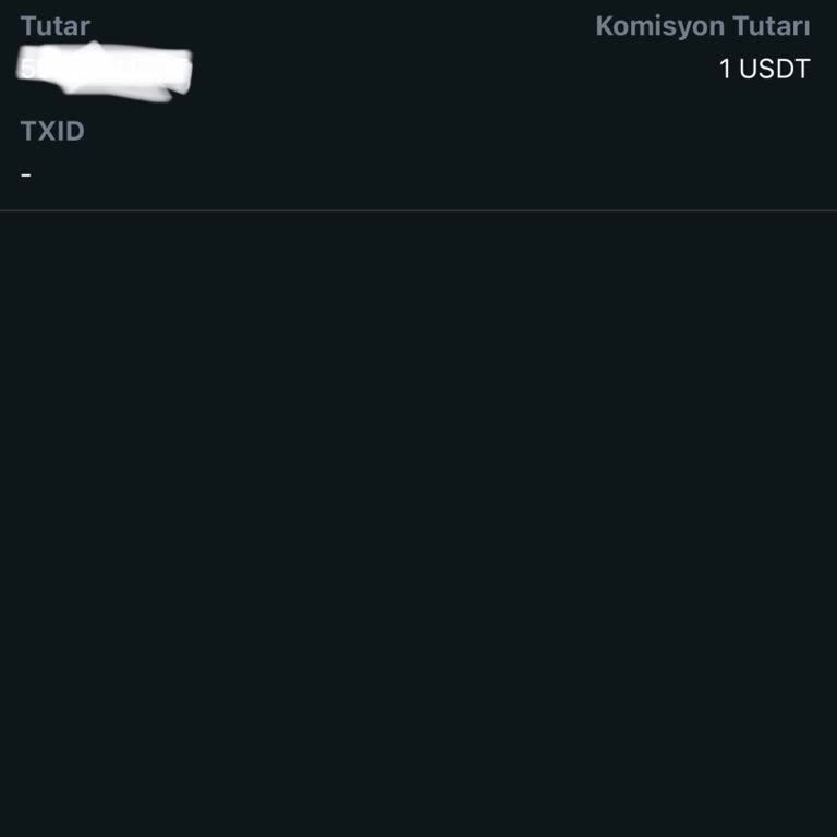 Bitci Borsasında USDT Transferi Sorunu: 24 Saatlik Bekleyiş