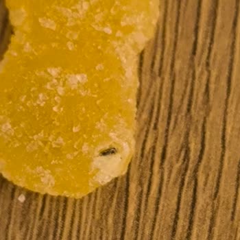 Sourpatch Jelibon İçinden Çıkan Şok Edici Madde