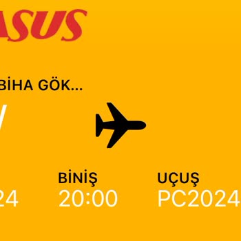 Pegasus'un Uçuş Gecikmesi Ve Yanlış Yönlendirme Sorunu