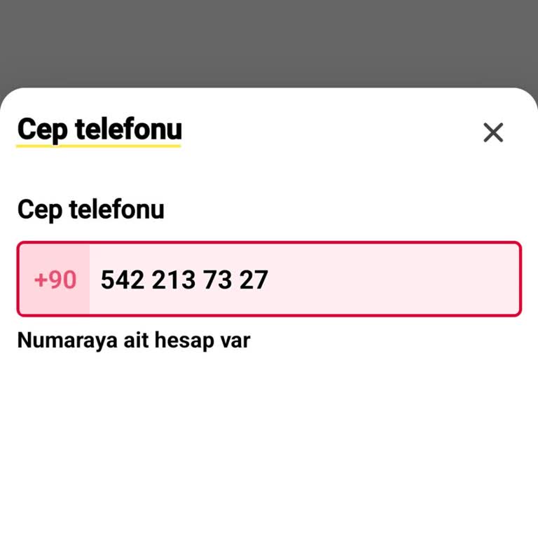 İlan Verme Sürecinde Telefon Numarası Onay Sorunu