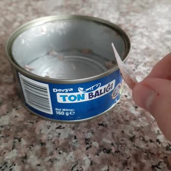 Ton Balığı Konservesinde Kılçık Şoku