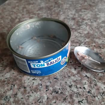 Ton Balığı Konservesinde Kılçık Şoku