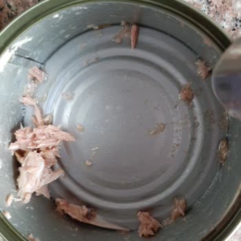 Ton Balığı Konservesinde Kılçık Şoku