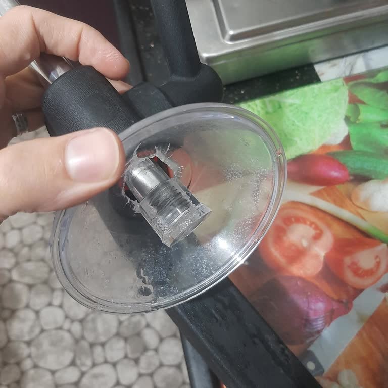 Sinbo Narenciye Sıkacağının Plastik Parçası Kırıldı, Yedek Parça Yok