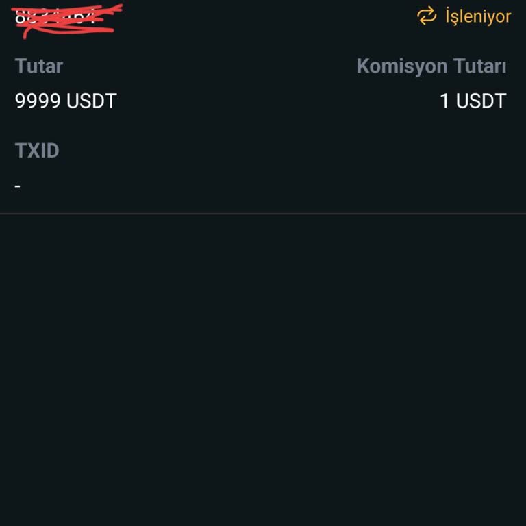 Bitci'de Para Çekme Sorunları Ve Yetersiz Destek