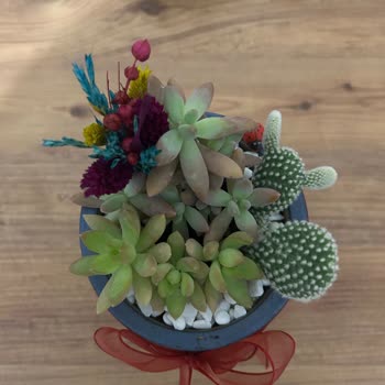 Kırılabilir Uyarısına Rağmen Kırık Gelen Kargo