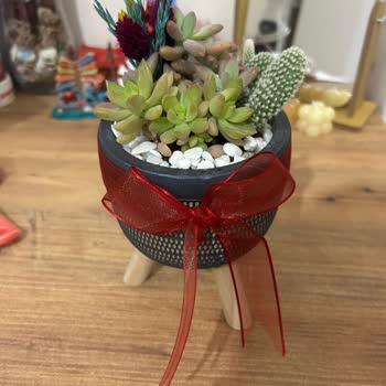 Kırılabilir Uyarısına Rağmen Kırık Gelen Kargo