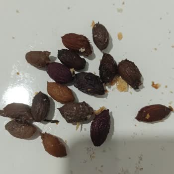 Yanıltıcı Ürün Gönderimi Ve Kalitesiz Zeytin Deneyimi