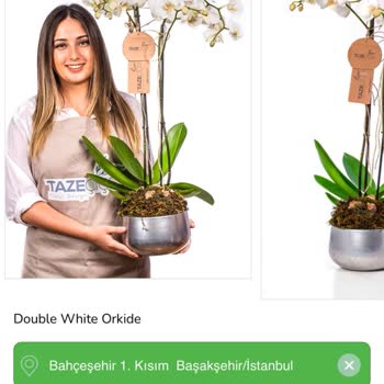 Taze Çiçek | Tazecicek.com Öğretmenler Gününde Hayal Kırıklığı