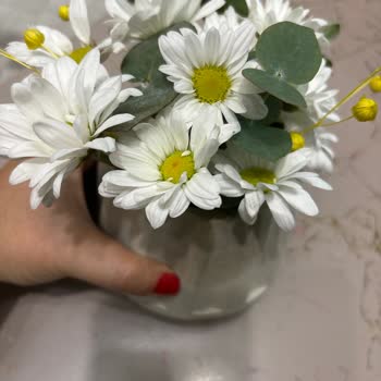 Taze Çiçek | Tazecicek.com Öğretmenler Gününde Hayal Kırıklığı