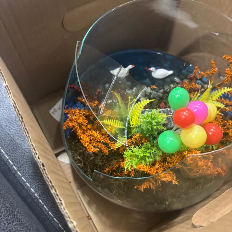 Kırık Cam Saksı Ve Geç Teslimat Sorunu